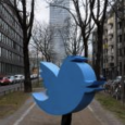 Janines TT: Köln buhlt um die Gunst von Twitter Wer am letzten Montag in Köln unterwegs war, staunte nicht schlecht. Ein überdimensionaler blauer Vogel lief durch die Stadt und hinterließ...